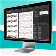 Ergosoft Roland Edition 3 + новое решение для печати на футболках XT-640DTG